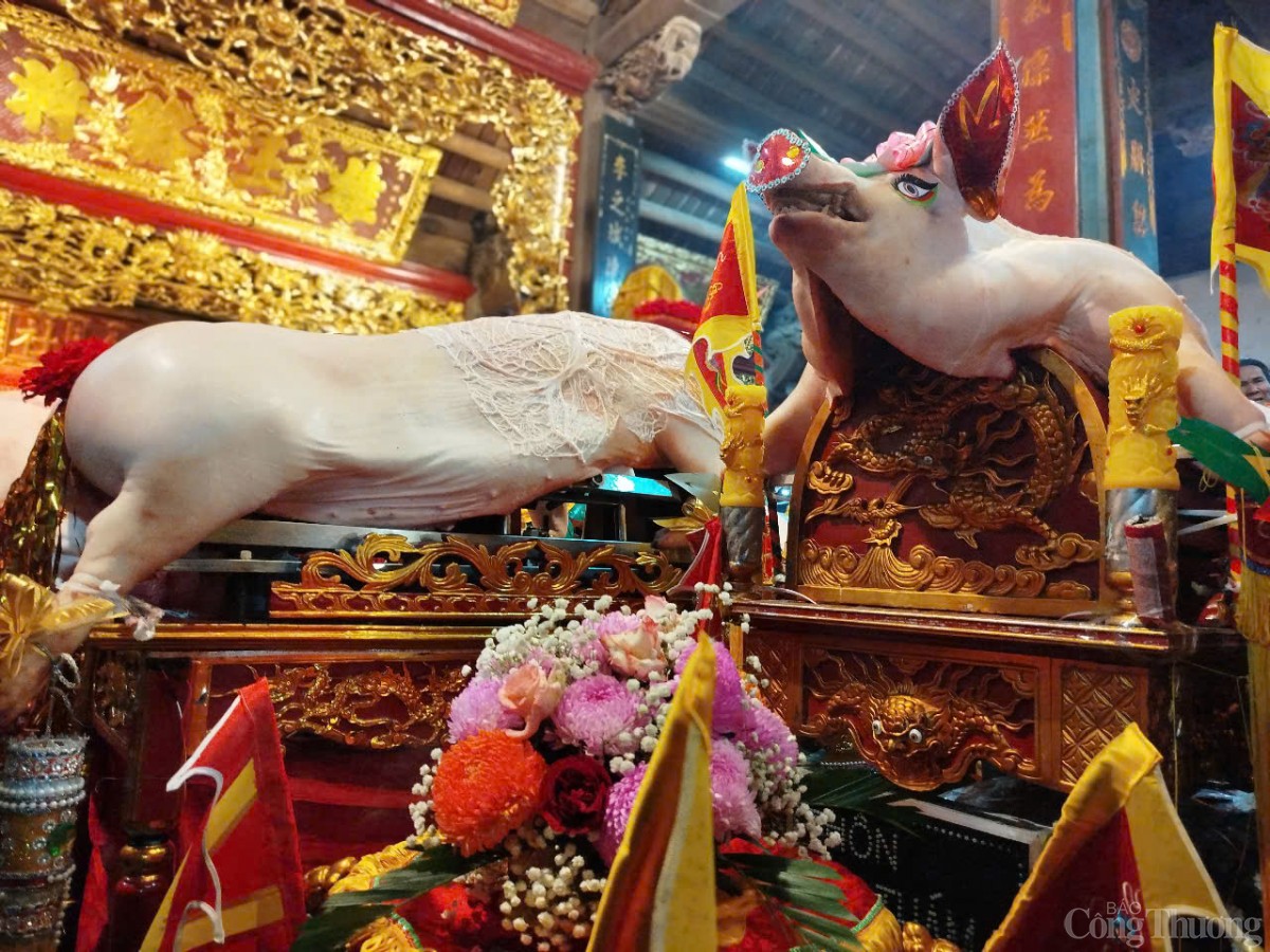 Lễ rước 'Ông lợn' độc nhất vô nhị tại Hà Nội