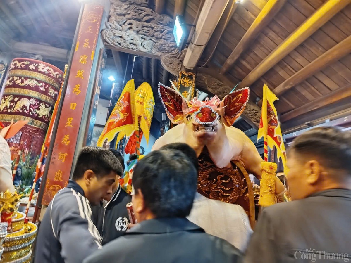 Lễ rước 'Ông lợn' độc nhất vô nhị tại Hà Nội