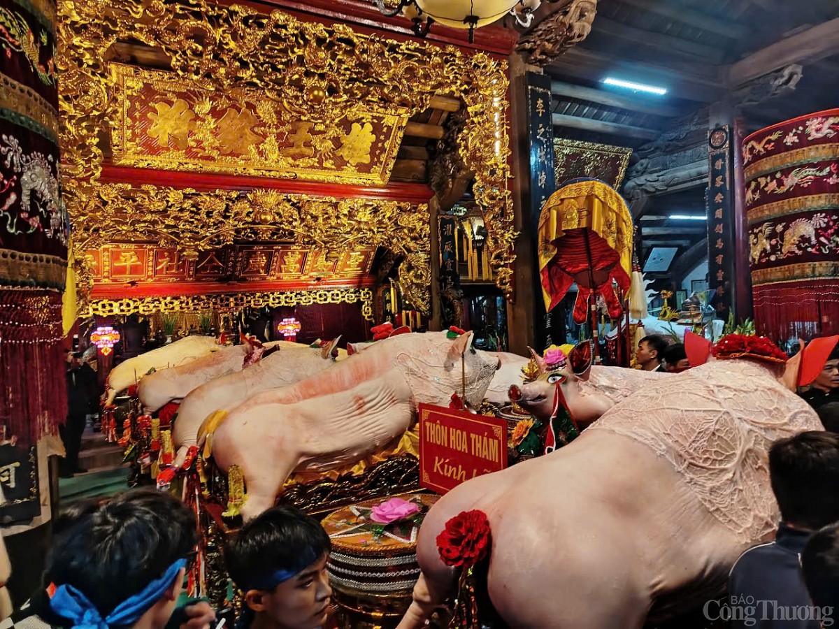 Lễ rước 'Ông lợn' độc nhất vô nhị tại Hà Nội