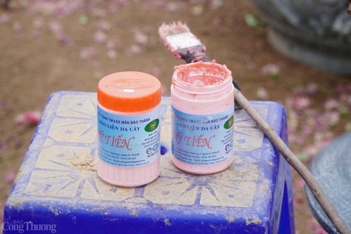 Lọ kem liền sẹo được các nhà vườn sử dụng.