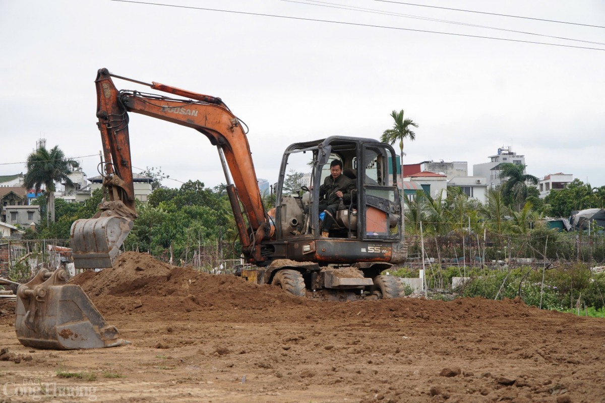 Máy xúc hoạt động hết công suất để xới những bãi đất trồng cây.