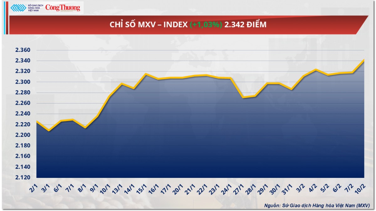 Thị trường hàng hoá 11/2: Giá dầu thế giới bật tăng Thị trường hàng hoá 11/2: Giá dầu thế giới bật tăng
