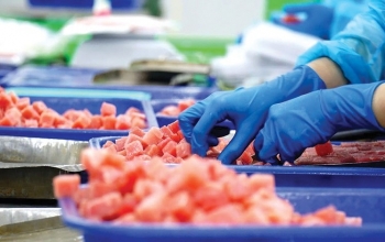 Giải pháp để xuất khẩu cá ngừ tăng trưởng hơn năm 2025