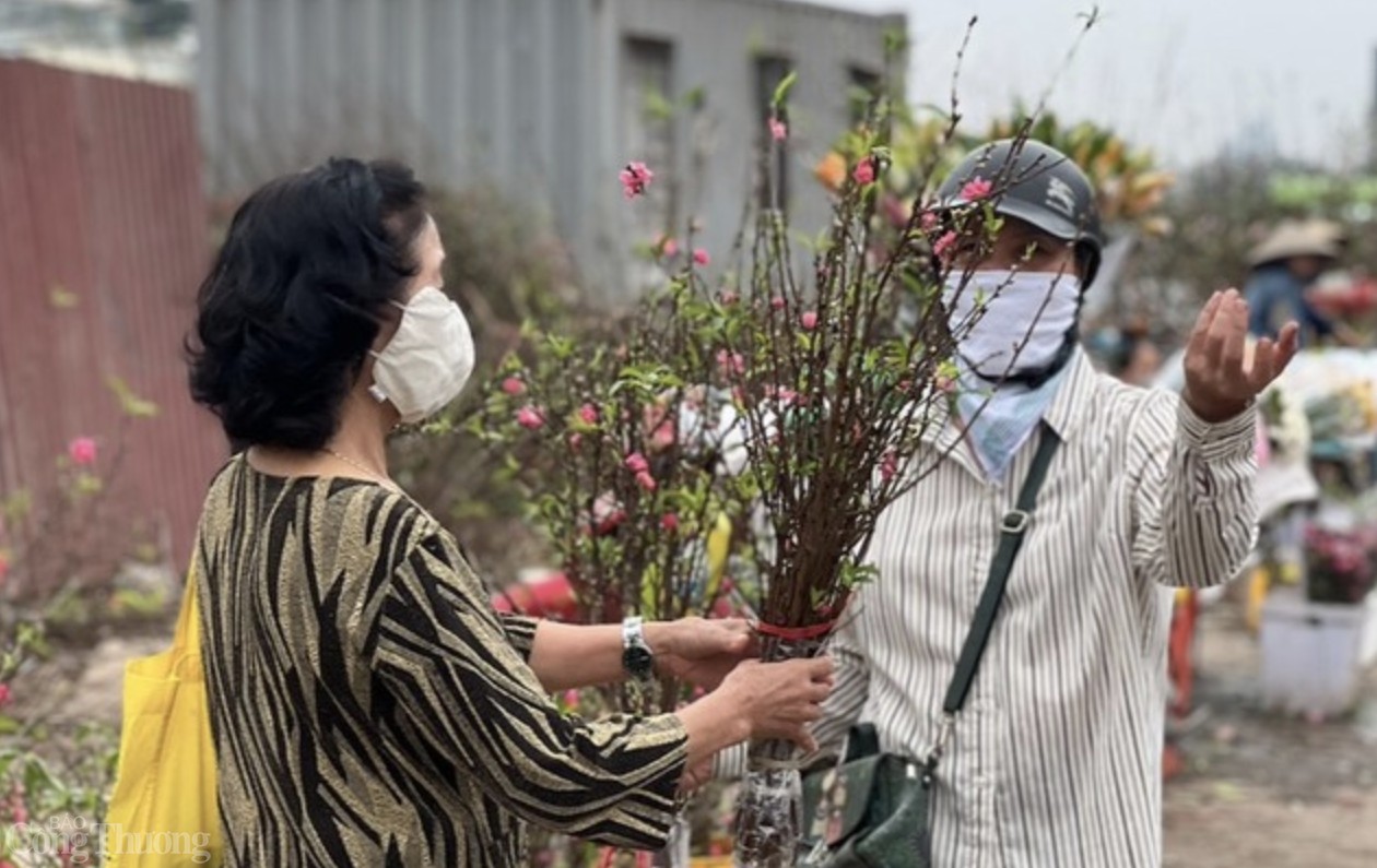 Lượng khách mua đào tại khu vực đường Lạc Long Quân không quá nhiều. Ảnh: Lê An Lượng khách mua đào tại khu vực đường Lạc Long Quân không quá nhiều. Ảnh: Lê An