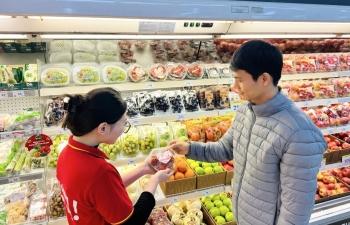 Thị trường trong nước là ‘bệ đỡ’ quan trọng cho tăng trưởng