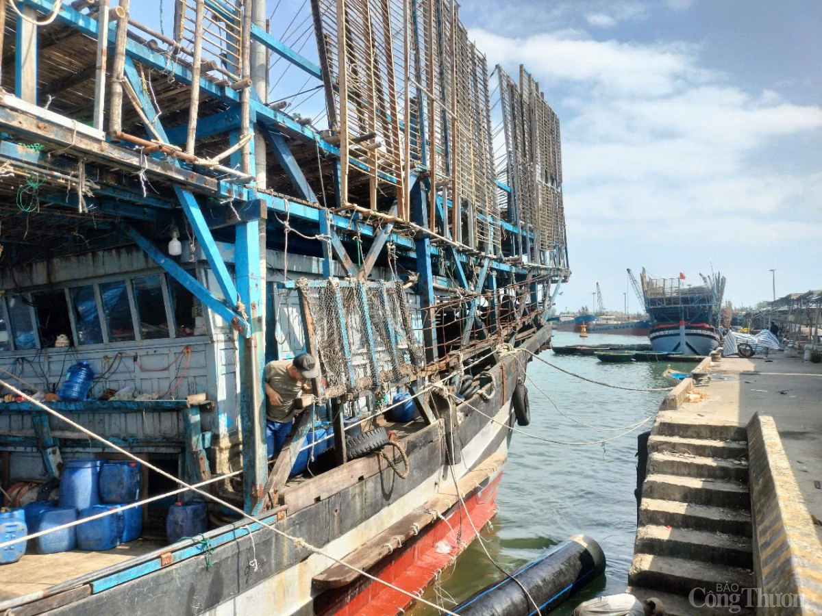 Ngư dân Quảng Ngãi phấn khởi vươn khơi bám biển những ngày đầu năm mới Ất Tỵ 2025 Ngư dân Quảng Ngãi phấn khởi vươn khơi bám biển những ngày đầu năm mới Ất Tỵ 2025