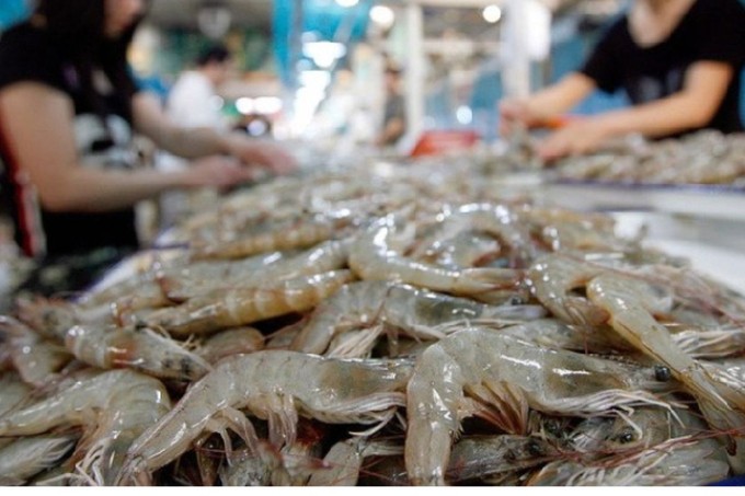 Việc tận dụng hiệu quả các FTA là chìa khóa quan trọng để ngành tôm Việt Nam vươn tới những tầm cao mới. Việc tận dụng hiệu quả các FTA là chìa khóa quan trọng để ngành tôm Việt Nam vươn tới những tầm cao mới.