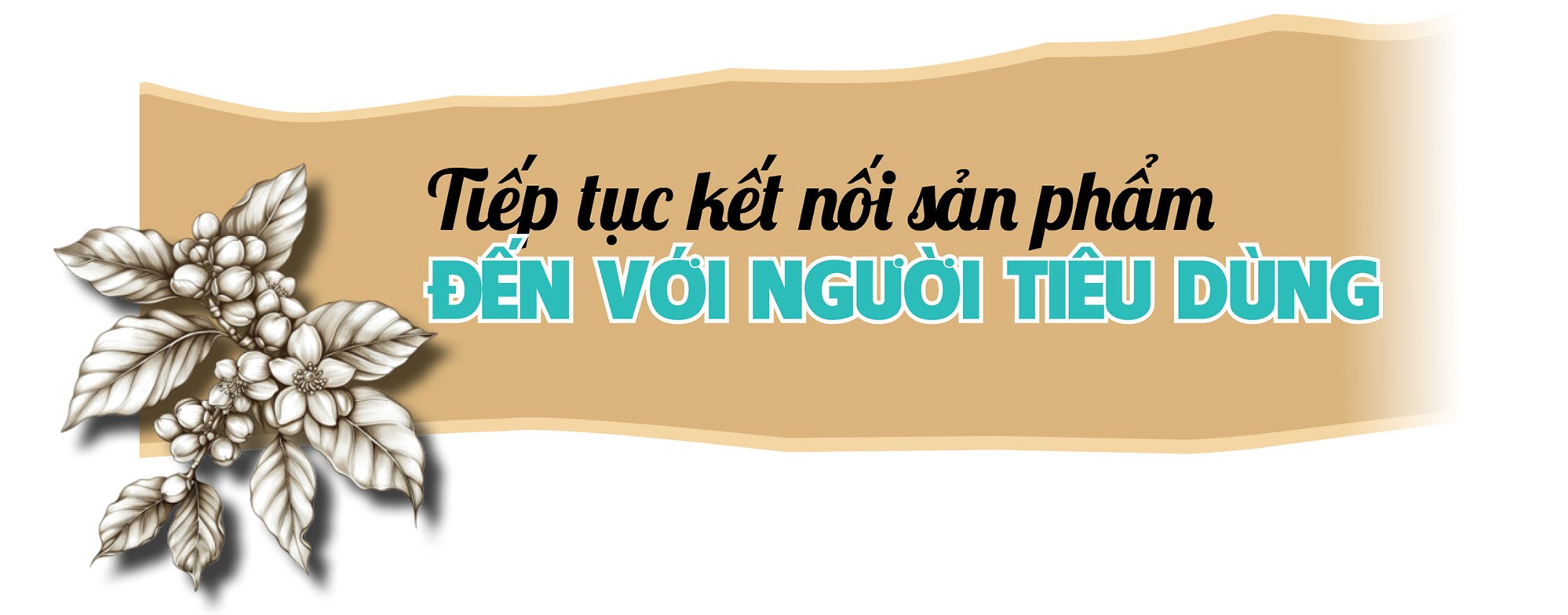 Chung tay tiêu thụ sản phẩm của bà con vùng dân tộc Chung tay tiêu thụ sản phẩm của bà con vùng dân tộc