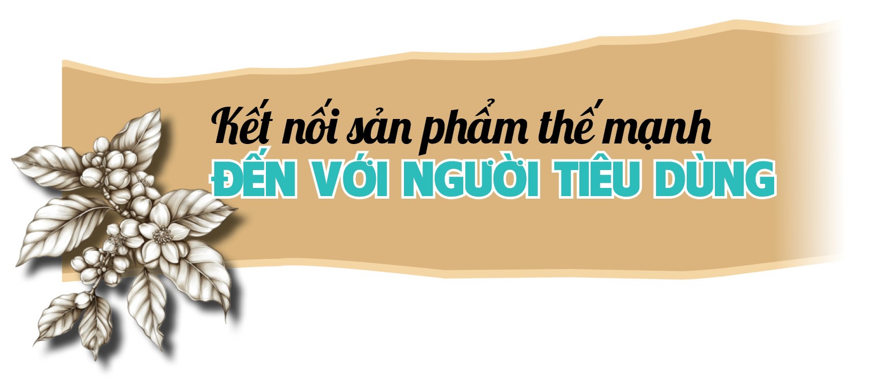 Chung tay tiêu thụ sản phẩm của bà con vùng dân tộc Chung tay tiêu thụ sản phẩm của bà con vùng dân tộc