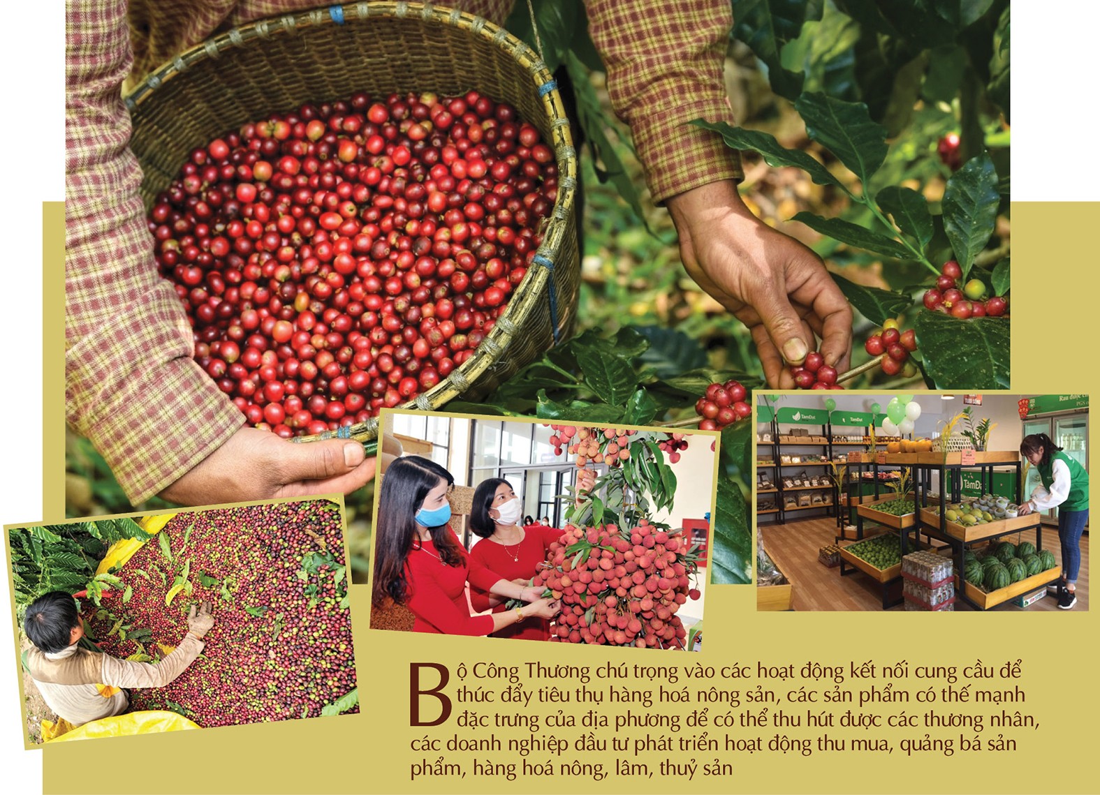 Chung tay tiêu thụ sản phẩm của bà con vùng dân tộc Chung tay tiêu thụ sản phẩm của bà con vùng dân tộc