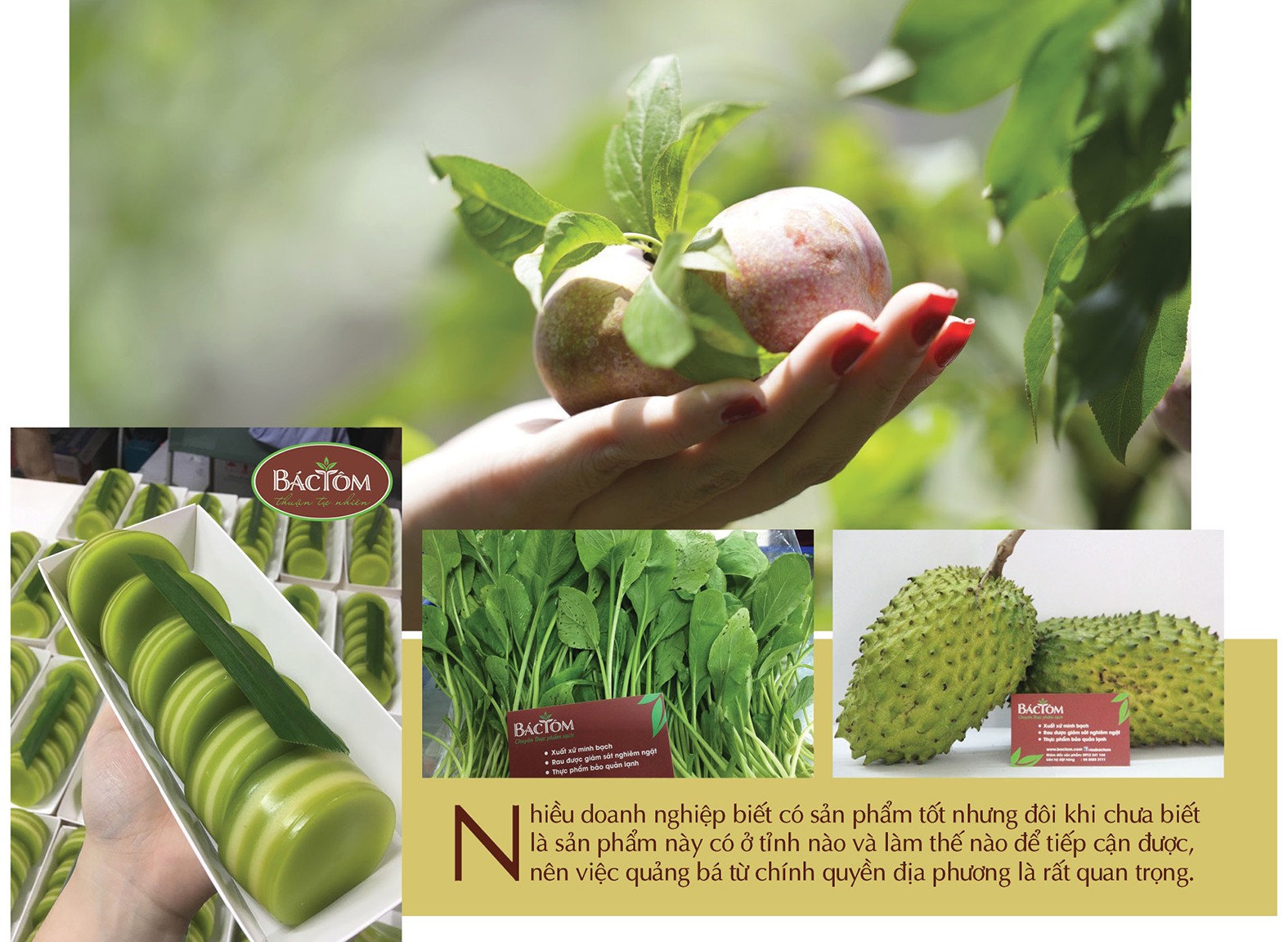 Chung tay tiêu thụ sản phẩm của bà con vùng dân tộc Chung tay tiêu thụ sản phẩm của bà con vùng dân tộc