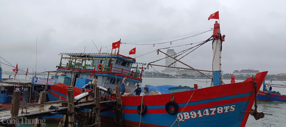 undefined Chuyến ra khơi đầu năm hứa hẹn mang lại một mùa bội thu