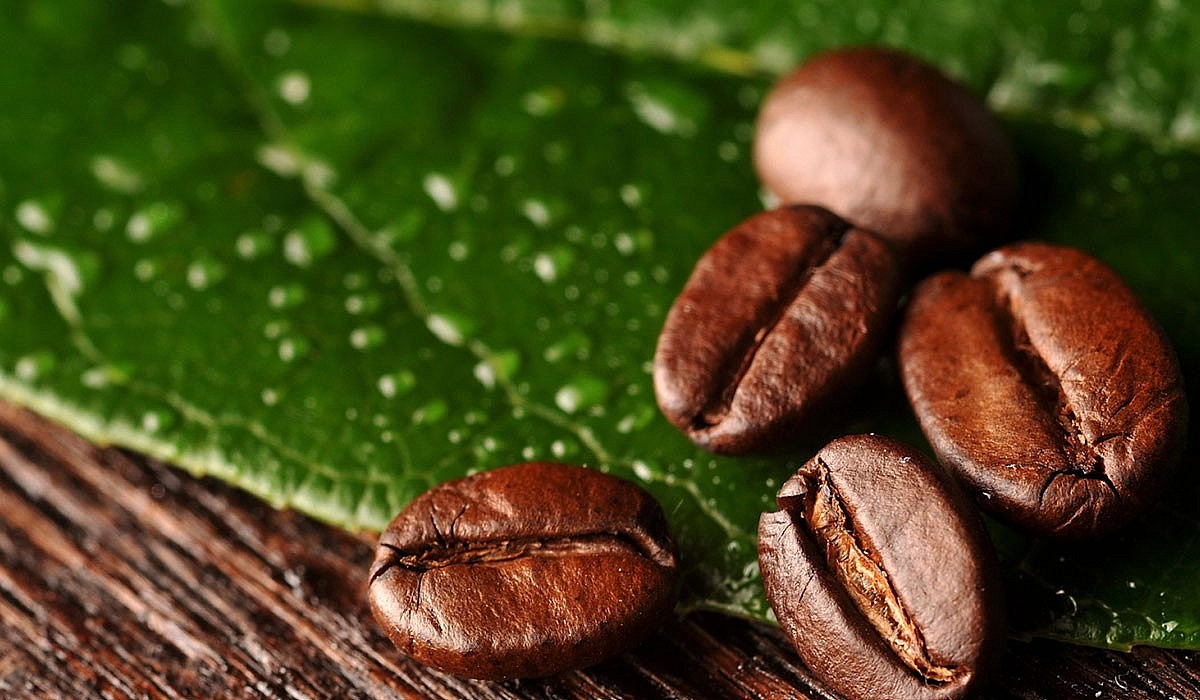 Với điều kiện thuận lợi trong canh tác cà phê Robusta, Buôn Ma Thuột đưa Việt Nam trở thành cường quốc xuất khẩu cà phê thứ hai thế giới. 