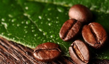 Chi tiết chỉ tiêu xuất khẩu từng mặt hàng nông thủy sản