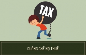 An Giang: Cưỡng chế thuế Công ty TNHH Doanh Hưng Phát