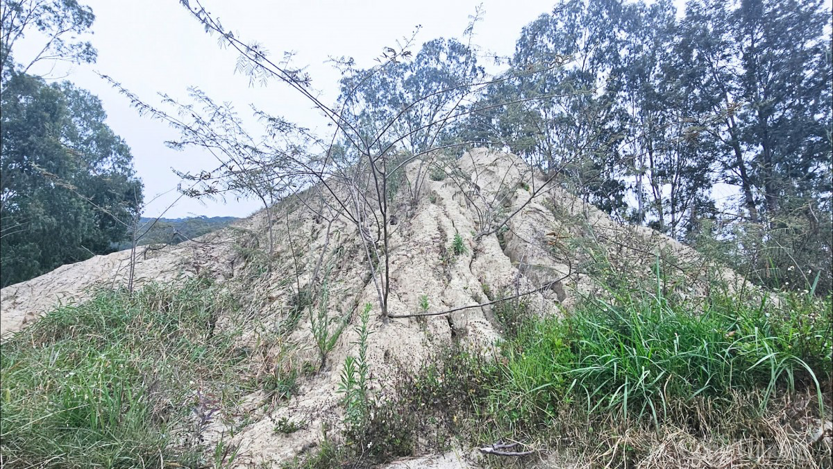 Lâm Đồng ‘mở khoá’ phê duyệt đấu giá khoáng sản tận thu