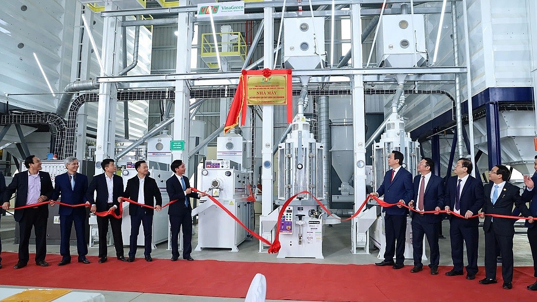 Thanh Hóa gắn biển nhà máy chế biến nông sản xuất khẩu