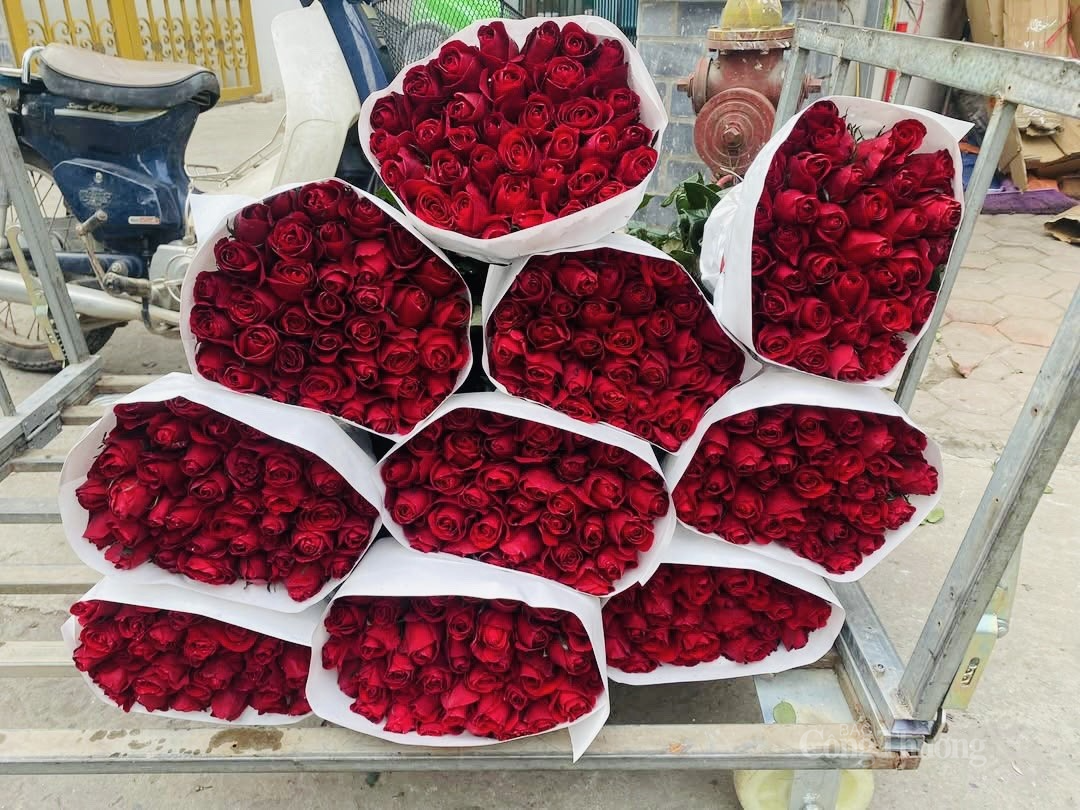 Hoa hồng đỏ là loại hoa được lựa chọn nhiều nhất Hoa hồng đỏ là loại hoa được lựa chọn nhiều nhất