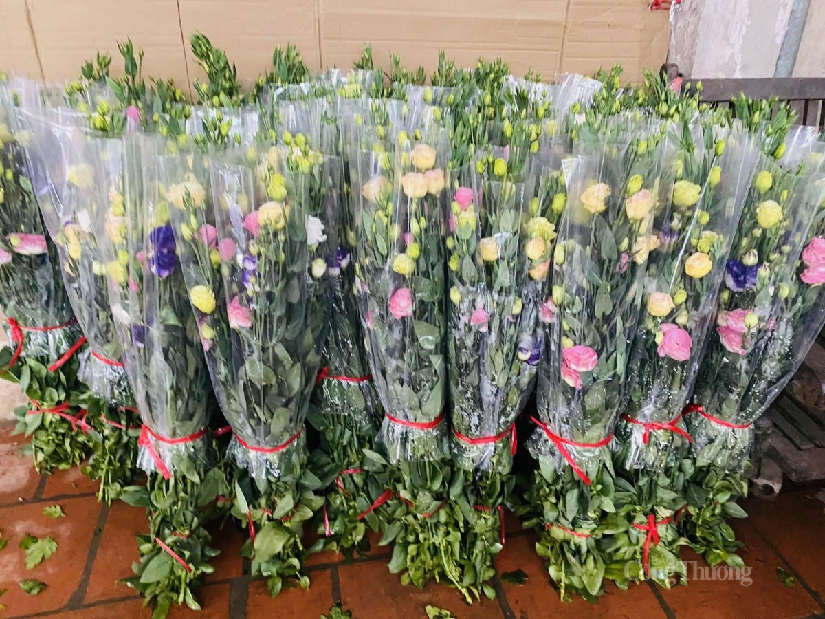 Hoa lan tường được bó gọn gàng tại chợ đầu mối giao cho các cửa hàng. Ảnh: Nguyễn Thanh Hoa lan tường được bó gọn gàng tại chợ đầu mối giao cho các cửa hàng. Ảnh: Nguyễn Thanh