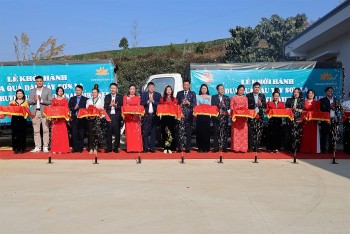 Dâu tây Sơn La cất cánh cùng Vietnam Airlines