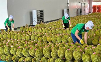 Thương hiệu nông sản Việt: Cần thích ứng với quy chuẩn mới