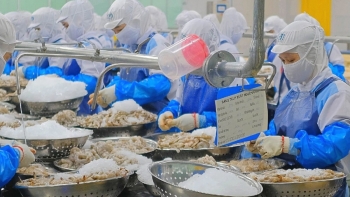 Giá tôm khởi sắc sau Tết Nguyên đán