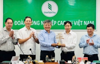 Lai Châu đẩy mạnh phát triển cây cao su