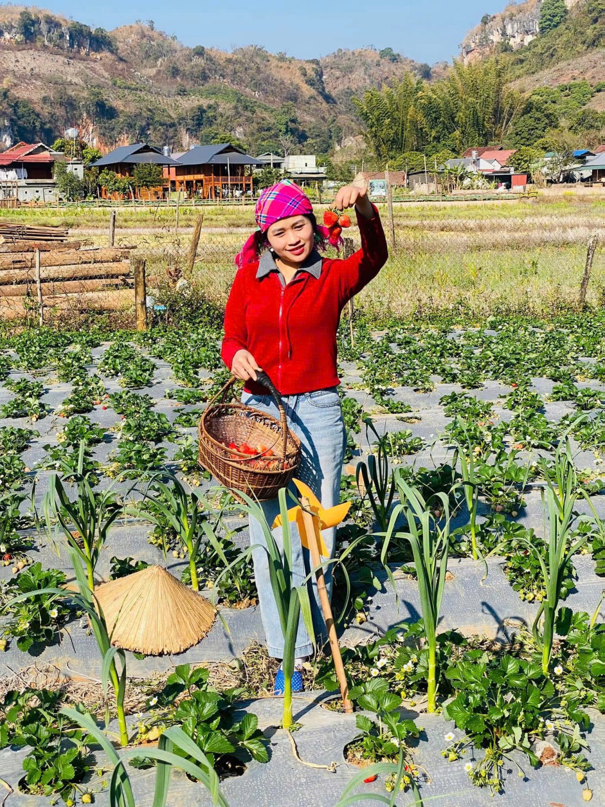 Chị Lường Thị Hồng Tươi tại vườn dâu tây gia đình ở bản Vặt. Ảnh nhân vật cung cấp