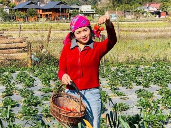 Nông sản Mộc Châu đắt khách nhờ sức hút du lịch