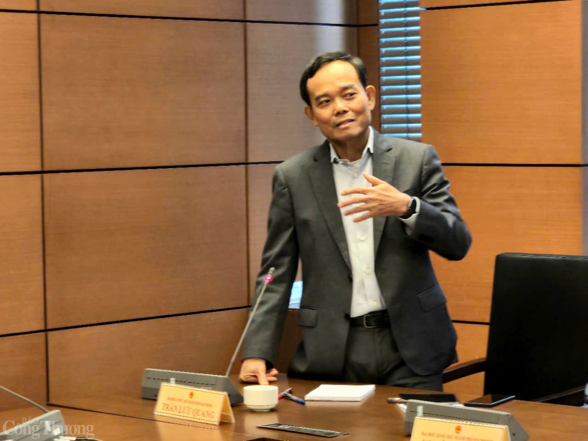 Trần Lưu Quang Trần Lưu Quang