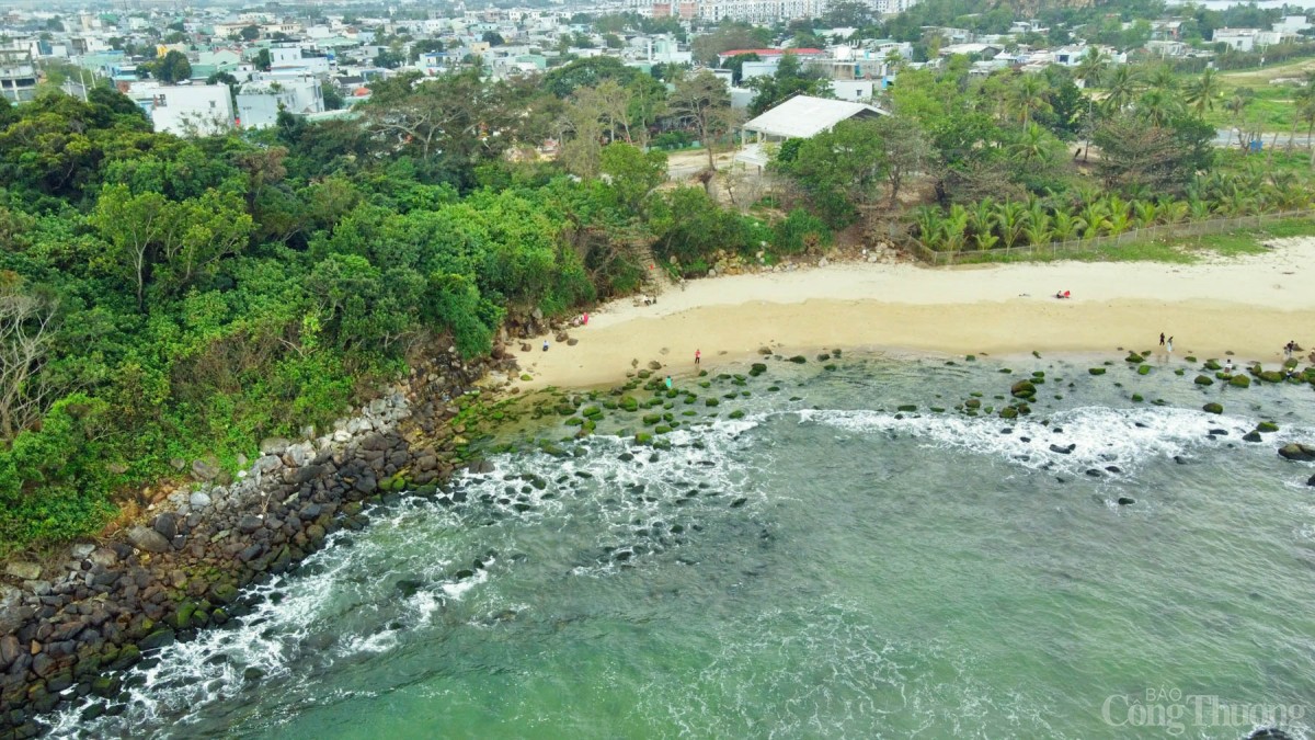 Nằm ngay dưới chân đèo Hải Vân, cách trung tâm TP. Đà Nẵng khoảng 18km về phía Bắc, ghềnh đá Nam Ô những ngày này đang ở thời điểm đẹp nhất trong năm khi đang là mùa rêu xanh.