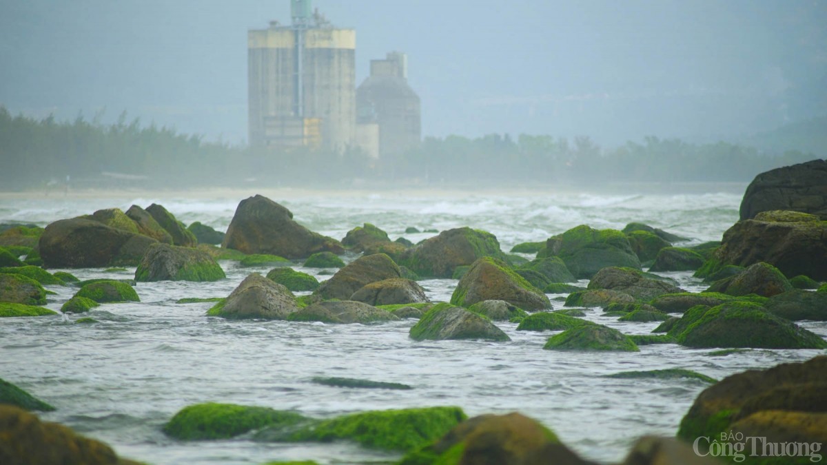 Mùa rêu xanh tại ghềnh đá Nam Ô thường xuất hiện từ dịp giáp Tết Nguyên đán đến khoảng hết tháng Giêng. Thời điểm đẹp nhất thường là sau Tết Nguyên đán, khi tiết trời còn se lạnh, nắng nhẹ.