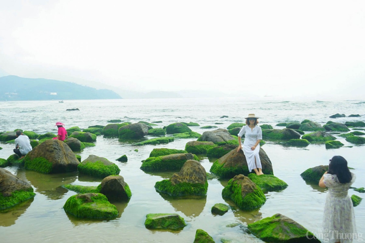 Vì chỉ xuất hiện trong thời gian ngắn nên cứ hàng năm đến thời điểm này lại có hàng nghìn người dân du xuân, check in chụp ảnh, phần lớn là các nhóm bạn trẻ, các bà, các cô đến lưu lại những khoảnh khắc đẹp của thiên nhiên.