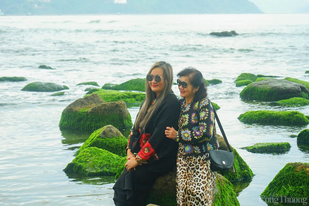 Không chỉ người dân Đà Nẵng, nhiều du khách ở khắp nơi khi đến với TP. Đà Nẵng cũng tìm đến tham quan, check in với rêu.