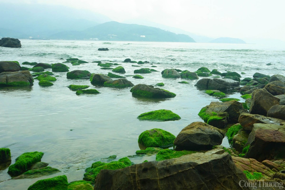 Khu vực ghềnh đá Nam Ô mặc dù gần với khu vực người dân làng Nam Ô sinh sống, nhưng hàng trăm năm qua đến nay nó vẫn mang đậm vẻ đẹp thiên nhiên hoang sơ, độc đáo.