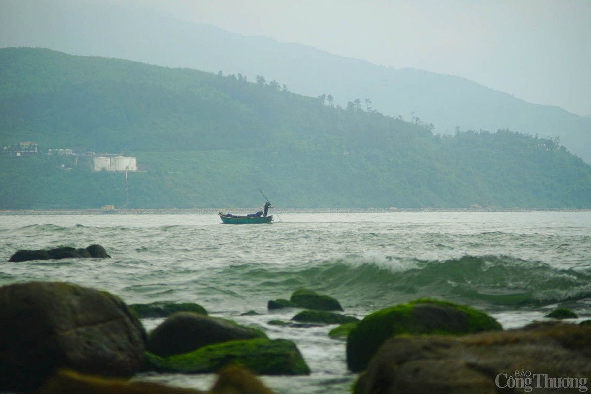  Được biết, hiện UBND quận Liên Chiểu (TP. Đà Nẵng) đang nghiên cứu hình thành các sản phẩm du lịch cộng đồng tại khu vực Nam Ô. Trong đó, có các điểm đến như trải nghiệm nghề làm nước mắm truyền thống Nam Ô, tham quan các di tích, tắm biển, ngắm bình minh và hoàng hông trên vịnh Nam Ô, thưởng thức ẩm thực địa phương….