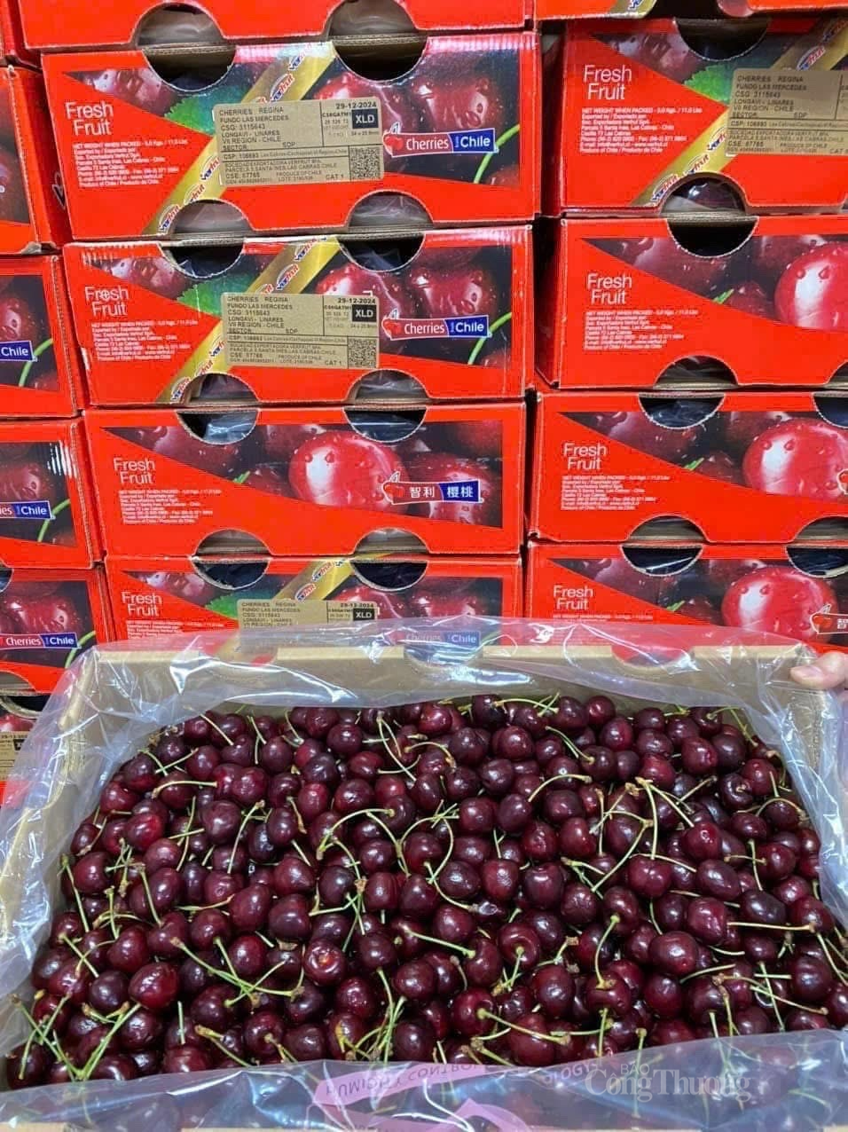 Nhiều người tiêu dùng tỏ ra bất ngờ khi giá cherry Chile đang giảm sâu. Ảnh: Nguyễn Hồng Nhiều người tiêu dùng tỏ ra bất ngờ khi giá cherry Chile đang giảm sâu. Ảnh: Nguyễn Hồng