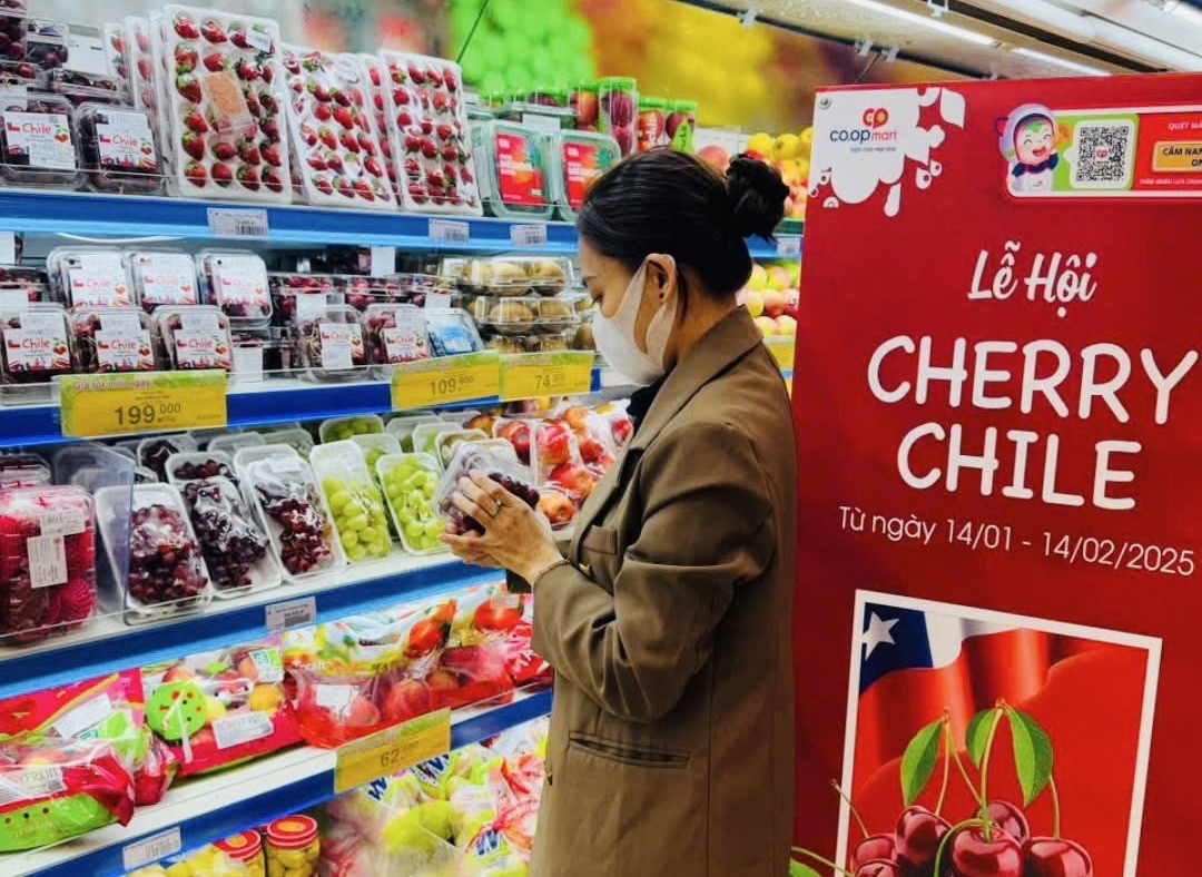 giá giảm sâu do nguồn hàng dồi dào từ Chile giá giảm sâu do nguồn hàng dồi dào từ Chile