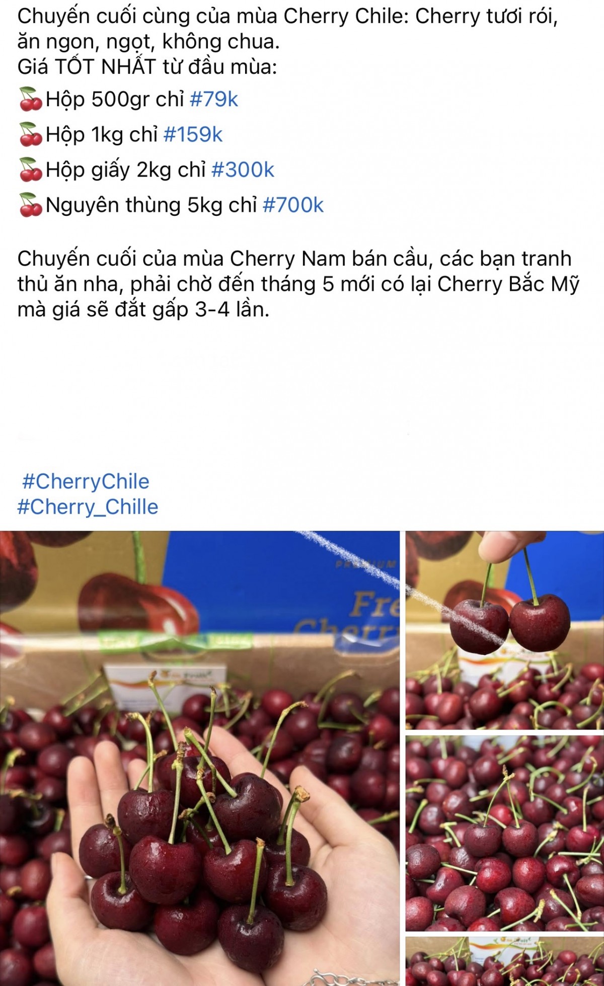 Cherry Chile với nhiều mức giá được rao bán trên chợ mạng. Ảnh chụp màn hình Cherry Chile với nhiều mức giá được rao bán trên chợ mạng. Ảnh chụp màn hình