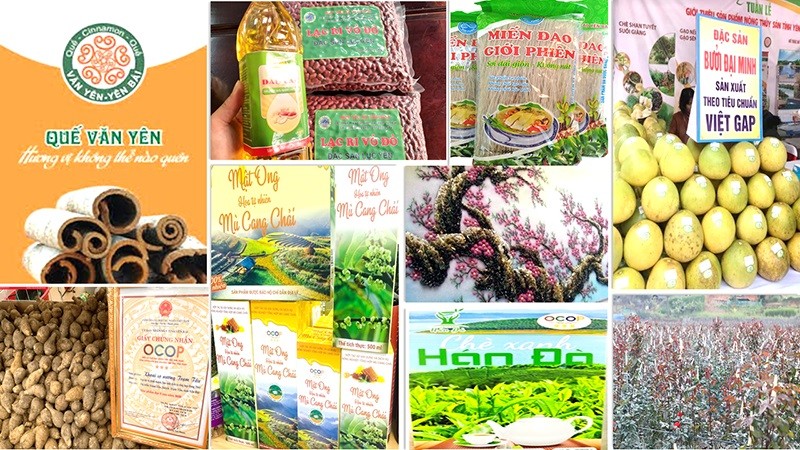 Yên Bái: 59 sản phẩm được bảo hộ sở hữu trí tuệ Yên Bái: 59 sản phẩm được bảo hộ sở hữu trí tuệ