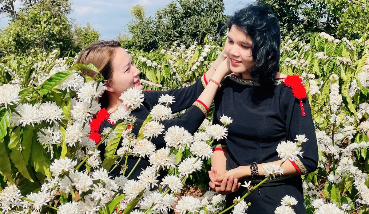 Lễ hội cà phê Buôn Mê Thuột khẳng định thương hiệu Việt