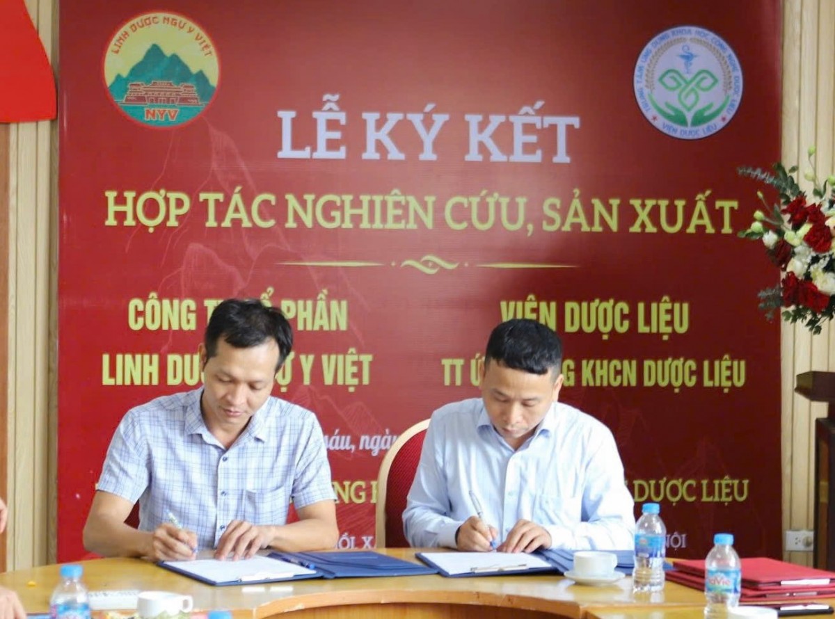 Linh Dược Ngự Y Việt - Kết nối y dược Linh Dược Ngự Y Việt - Kết nối y dược