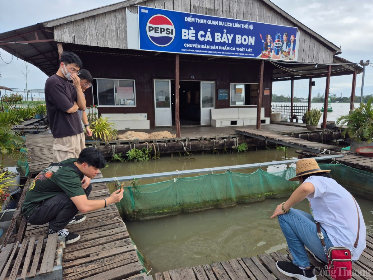 Cần Thơ: Trải nghiệm miền Tây dân dã tại Cồn Sơn