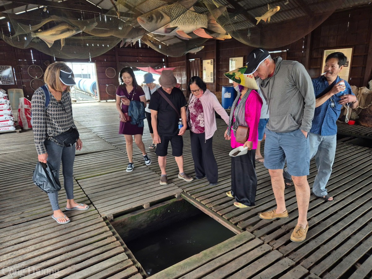 Cần Thơ: Trải nghiệm miền Tây dân dã tại Cồn Sơn