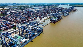 Thanh Hóa tận dụng các FTA để đẩy mạnh xuất khẩu