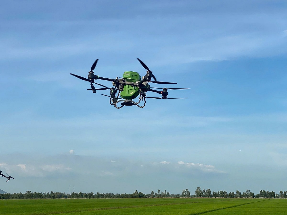 Ruộng lúa chuyển mình nhờ công nghệ mới