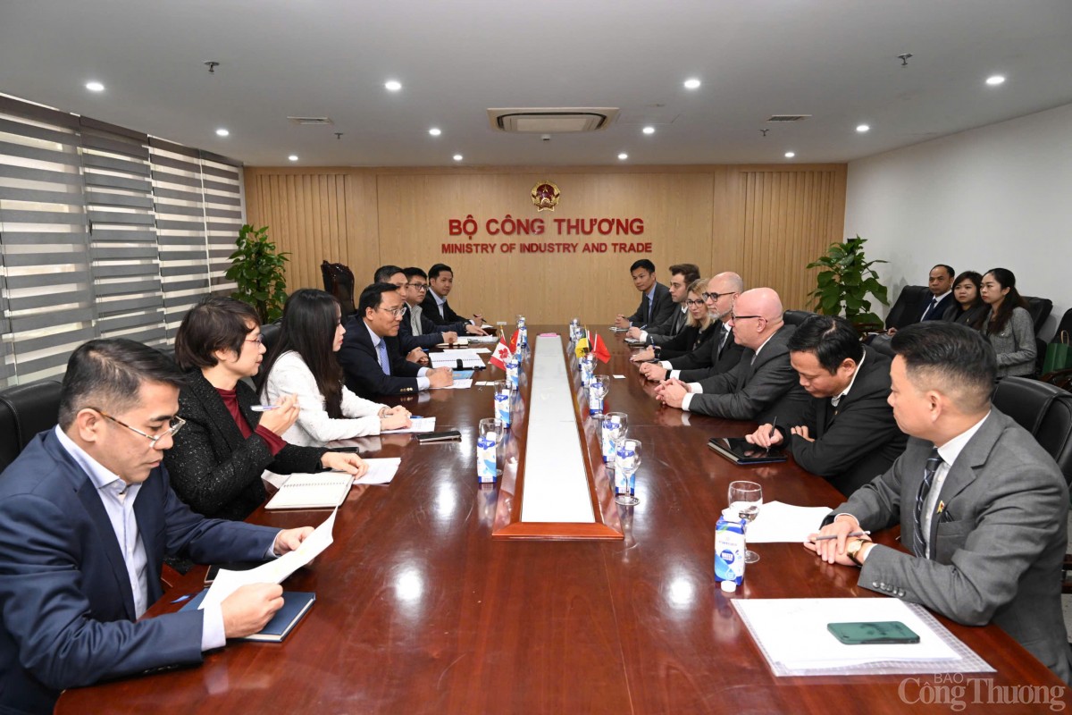 Thứ trưởng Nguyễn Hoàng Long tiếp, làm việc với đoàn Canada