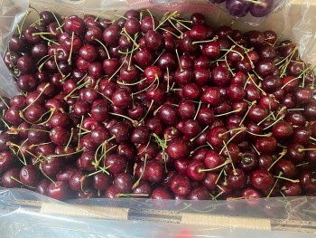 Cherry Chile 'bão giá' chợ Việt