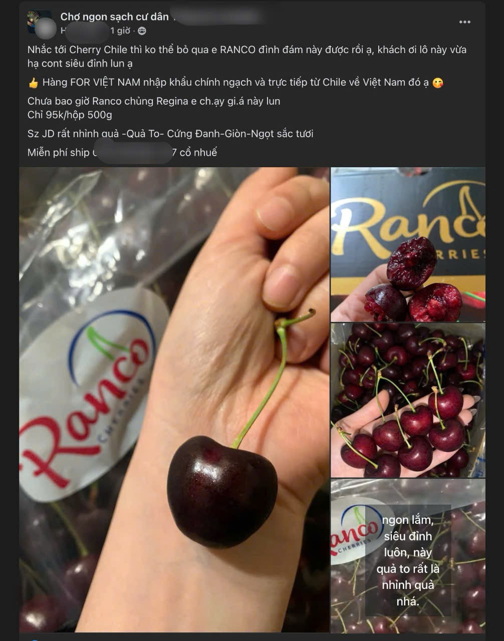 Cherry Chile được rao bán trên các hội nhóm chợ online. Ảnh chụp màn hình