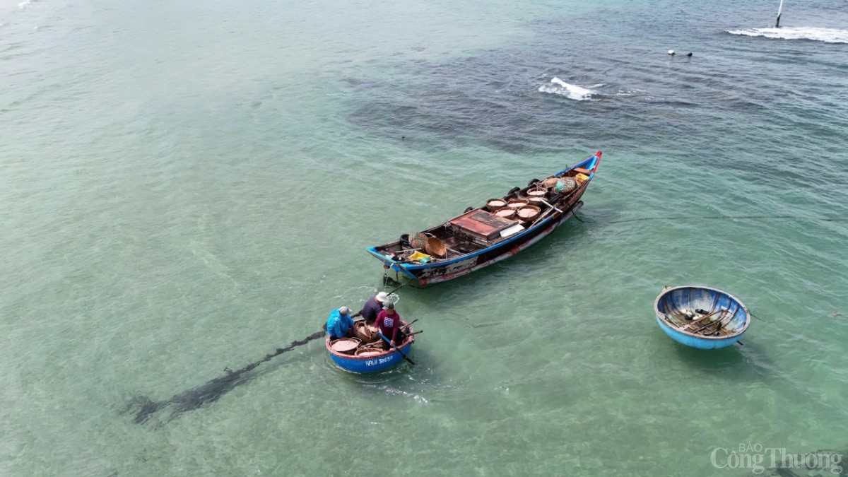 Vùng đánh bắt chỉ cách bờ khoảng 4 hải lý nên tàu đánh ruốc đi về trong ngày Vùng đánh bắt chỉ cách bờ khoảng 4 hải lý nên tàu đánh ruốc đi về trong ngày